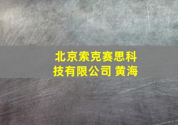 北京索克赛思科技有限公司 黄海